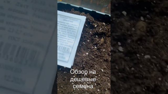 Обзор на дешевые семена из Леруа Мерлен. Полное видео на канале. смотреть онлайн