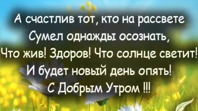 С добрым летним утром смотреть онлайн