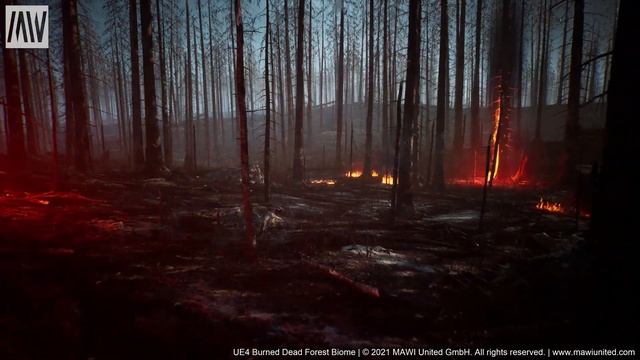 MAWI Burned Dead Forest Biome | First Person Walk смотреть онлайн