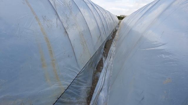 Балаган 6,2×50 метров за копейки. смотреть онлайн