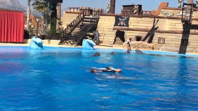 Going to mundomar and seeing dolphins смотреть онлайн