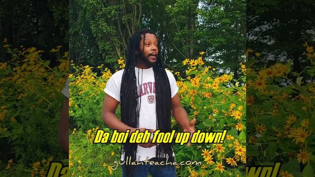 Harvard Gullah Teacha - Intensifiers смотреть онлайн