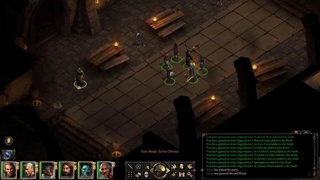 Do Barbarians Dream of Electric Enchants? - Let's Play Pillars of Eternity (PotD) #51 смотреть онлайн