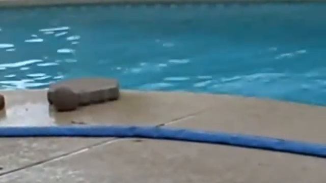 02 skipper jumps 2 смотреть онлайн