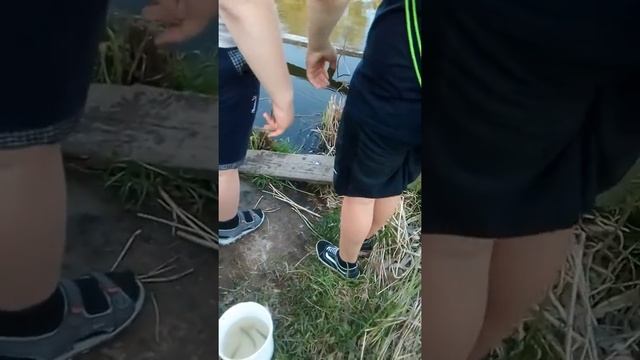 Как наши мальчики ловят рыбу смотреть онлайн