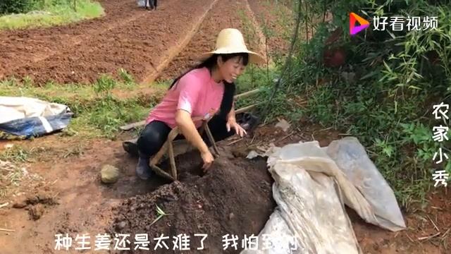 Китайский бизнес. 生姜 Посадка имбиря смотреть онлайн