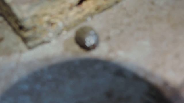 Тайная жажда покорности в желаниях демонов