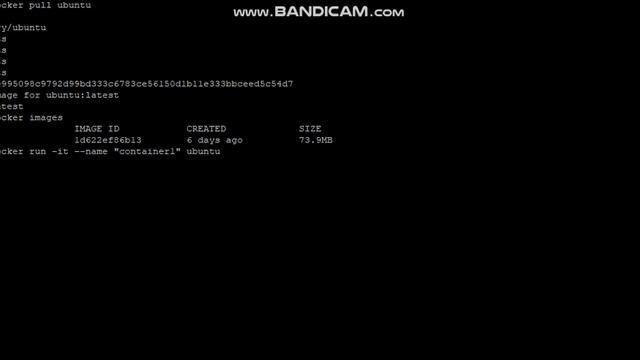 How to create Docker Image & Container | In just five minutes смотреть онлайн