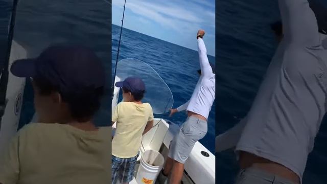 How to catch Ballyhoo in a net смотреть онлайн