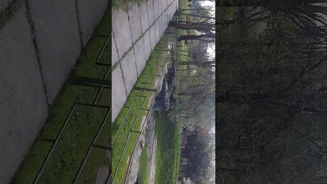 UW1 - Одесса ПАСХА сегодня, сейчас 24.04.22 Подписывайтесь на канал и ставьте лайки!