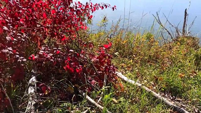 Россия. Сибирь. о.Байкал. Култук. Жемчуг. Тункинская долина. Нилова пустынь. 14-16.09.21г. смотреть онлайн