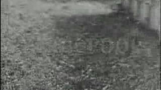 Гитлер - I will survive смотреть онлайн