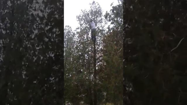 Тарзан из Днепрорудного смотреть онлайн