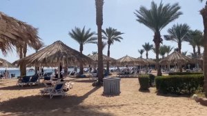 🇪🇬JAZ FAYROUZ ❤️ ЛЮБОВЬ С ПЕРВОГО ВЗГЛЯДА / ПЕРВАЯ ЛИНИЯ / НААМА БЕЙ / ШАРМ ЭЛЬ ШЕЙХ /