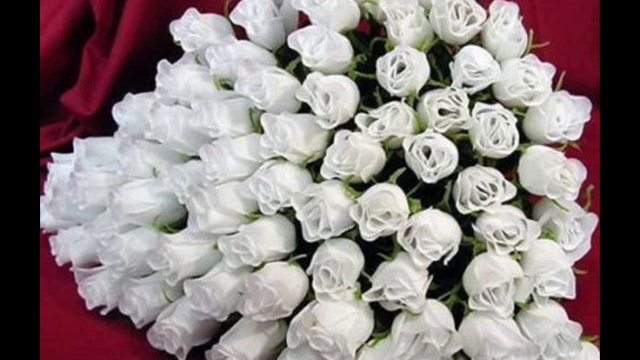 Мои поздравления для милых дам ко Дню 8 Марта!