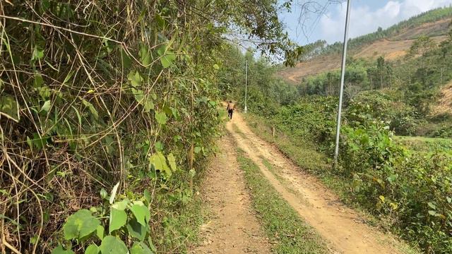 Visit the forest, collect firewood and harvest apples смотреть онлайн