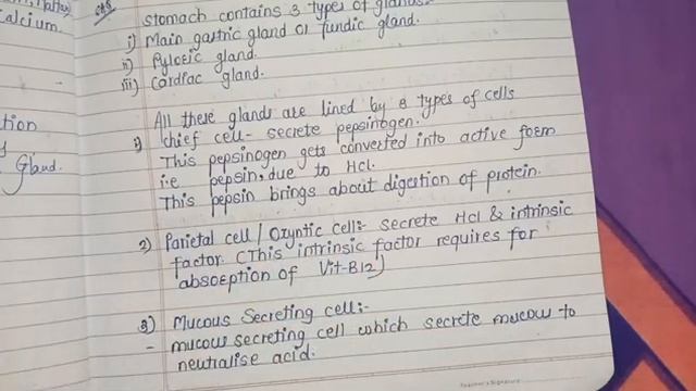 Physiology of GIT | Kriya Sharir | Bams 1st year #GIT #physiology #bams1styear смотреть онлайн