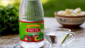 Какие запахи отпугивают кошек чтобы не гадили дома