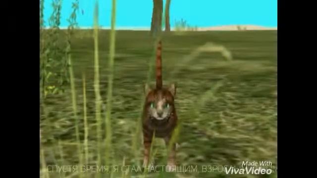 ГРУСТНАЯ ИСТОРИЯ ЖИЗНИ ОДНОГО КОТА |CAT SIM| смотреть онлайн