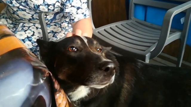 летний вечер на даче смотреть онлайн