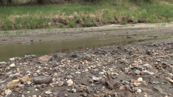 Собираю ископаемые всячины (2023)