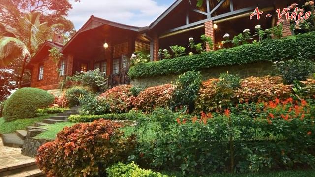 ?Оригинальный дизайн садового участка Идеи для воплощения / Best Garden Decorating Ideas / A - Vide смотреть онлайн