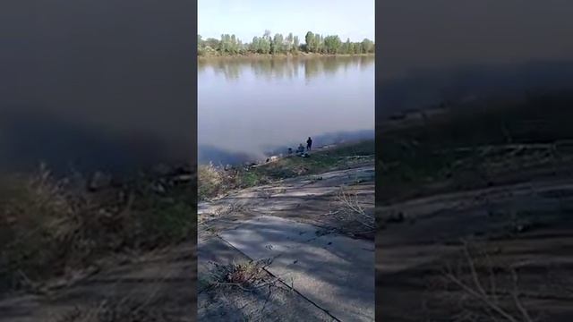 ЛОВЛЯ КРУПНЫХ ЛЕЩЕЙ "ФИДЕР"на реке Белой .г .Уфа.Башкортостан смотреть онлайн