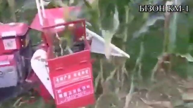 Кукурудзяний комбайн БІЗОН КМ-1 смотреть онлайн