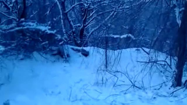 Зимнее утро смотреть онлайн