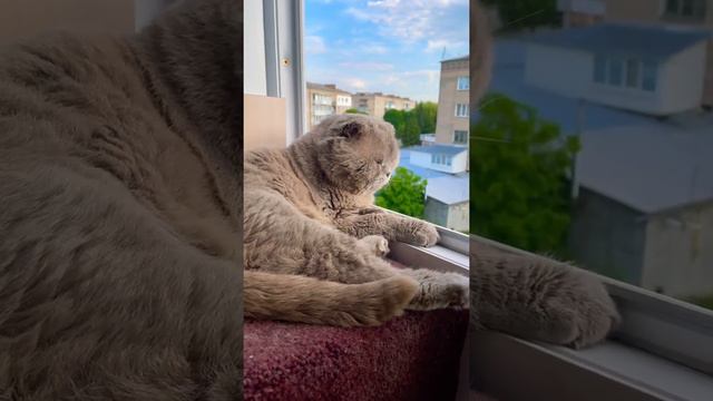 Я никогда не буду работать😁 смотреть онлайн