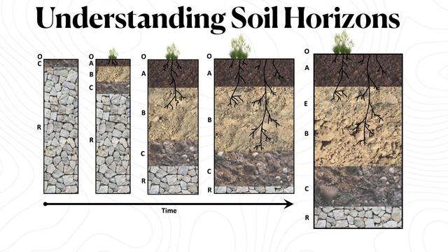 Soil Horizons & Development | How-To Geography Videos With Jeremy Patrich смотреть онлайн