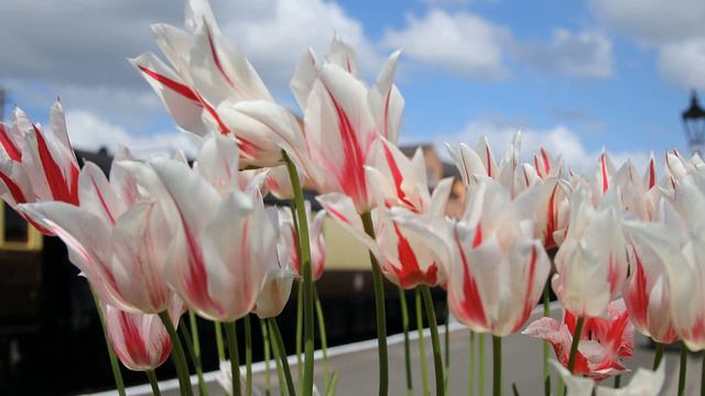 💙🌞Божественный вид🌞🧡🎶🎵❤👍 смотреть онлайн