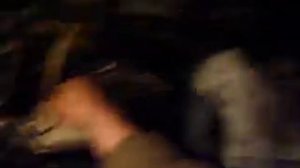 Nissan Serena CD20  ТНВД от корабельного ДП26