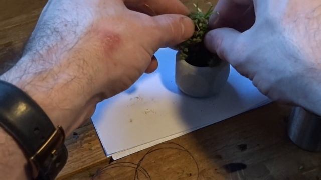 3D Printed Succulent Planters - Product Demonstration Video - By CPARKERDESIGN. смотреть онлайн