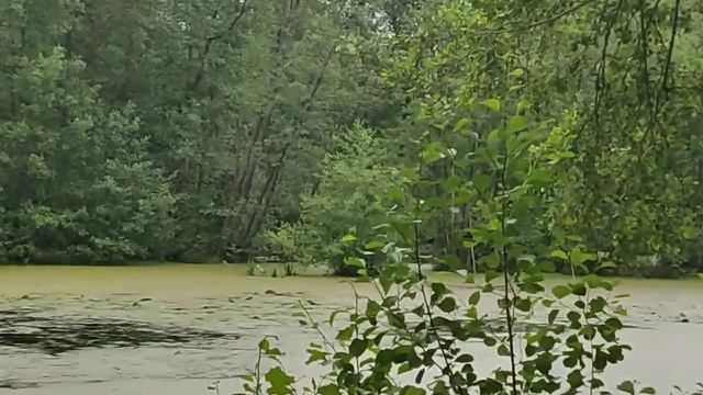 Россия, Пензенская область, Шемышейский район смотреть онлайн