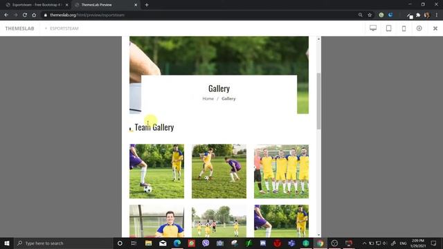 eSportsteam : Free Bootstrap 4 HTML5 Sport Website Template смотреть онлайн