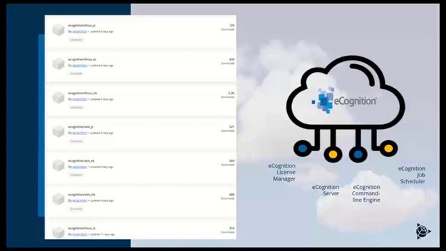 eCognition in The Cloud – Setup and Use Cases смотреть онлайн