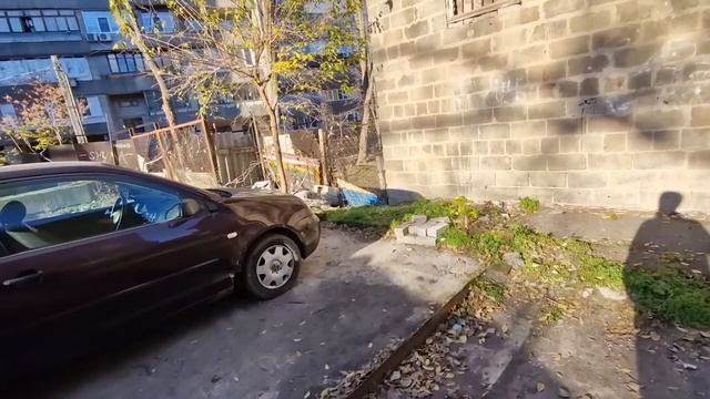 Камышовый кот Поехал в полицию смотреть онлайн