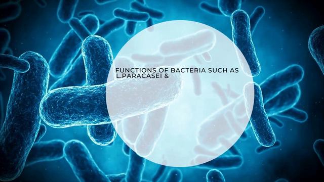 A Specific gut bacteria degrades GLP 1 to make you obese , develop type 2 diabetes смотреть онлайн