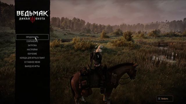The Witcher 3 [#29] - DLC Каменные сердца. Гюнтер О'Дим. Шани. Ольгерд. Витольд. Сельская свадьба смотреть онлайн