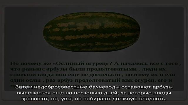 Что означают желтые и белые прожилки в мякоти арбуза? смотреть онлайн