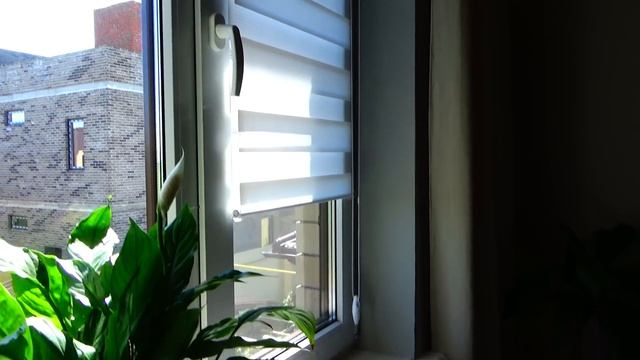 ВЛОГ/Новая мебель для террасы/День Рождения/Про жалюзи/9 мая/Болтаю/Семейный влог/Любимый Василек смотреть онлайн