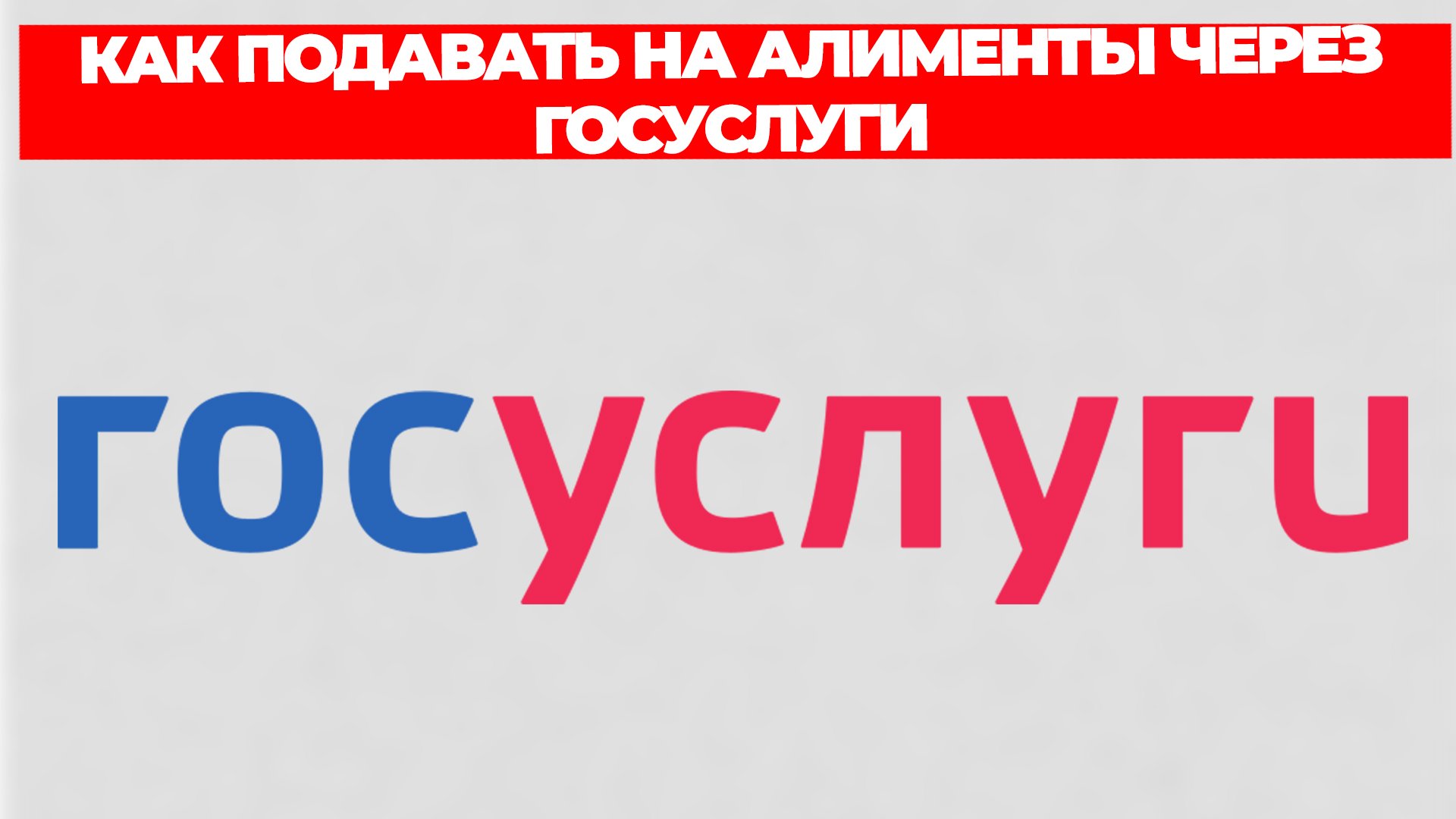 Всезнающий Енот