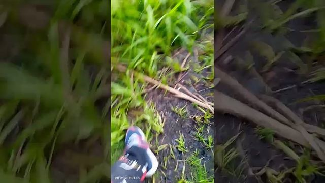 Lv_0_20230720201742.mp4