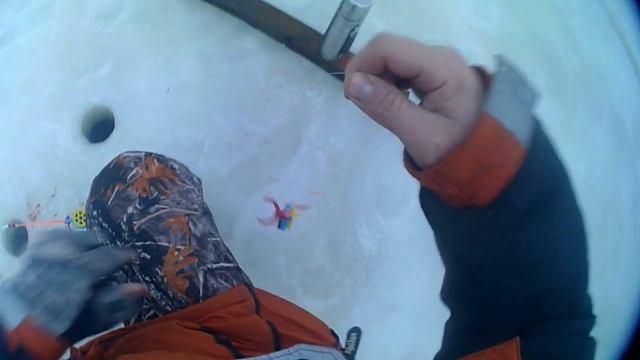 Ленинградская обл. рыбалка. г.Подпорожье река Свирь .затон. Классно порыбачил .1 часть 25.12.2016. смотреть онлайн