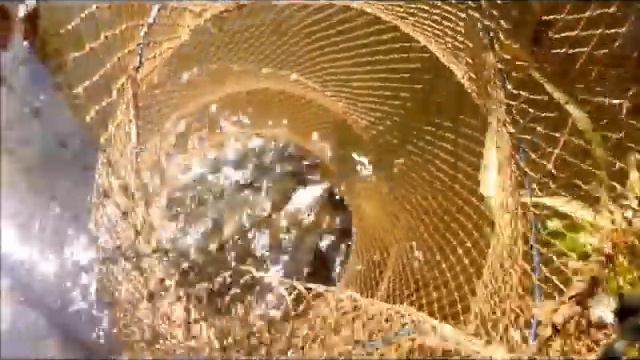 10.05.2018 г. Ратомский залив смотреть онлайн