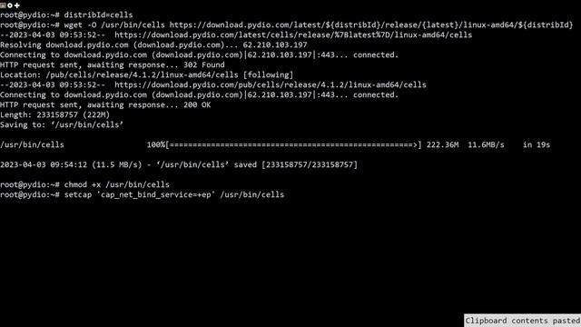 How to Install Pydio Cells File Sharing Server on Ubuntu 22.04 смотреть онлайн