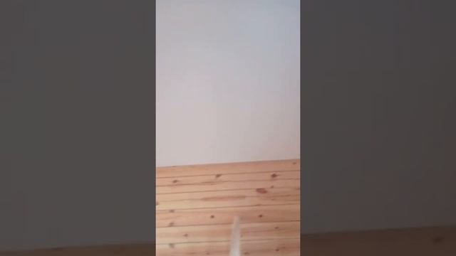 Дом в п. Маркова (Иркутский район) смотреть онлайн