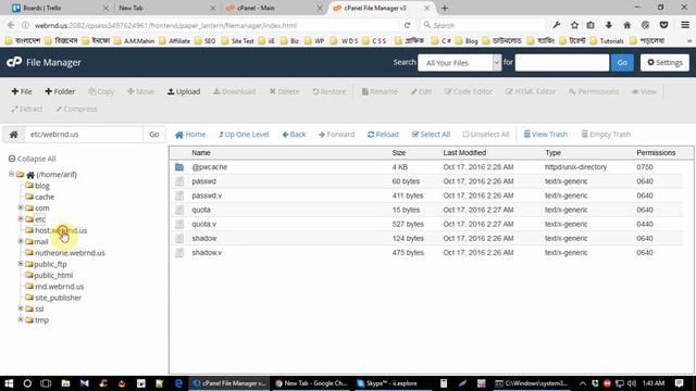 cPanel Clean смотреть онлайн