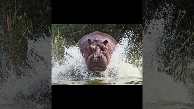 Иногда и такое состояние испытывает автор при создании контента. Посмеёмся вместе! смотреть онлайн